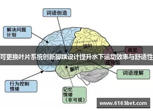 可更换叶片系统创新脚蹼设计提升水下运动效率与舒适性