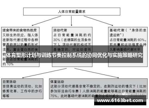 体育塑形计划与训练节奏控制系统的协同优化与实施策略研究