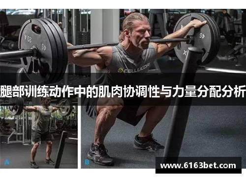 腿部训练动作中的肌肉协调性与力量分配分析