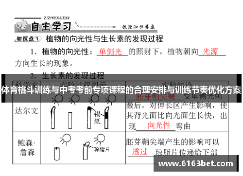 体育格斗训练与中考考前专项课程的合理安排与训练节奏优化方案